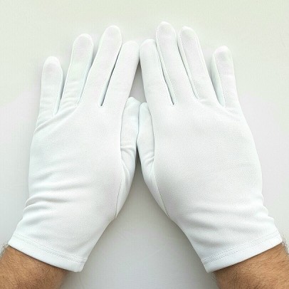 Le Majordome, l'homme noir aux gants blancs